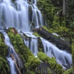 Lower proxy falls