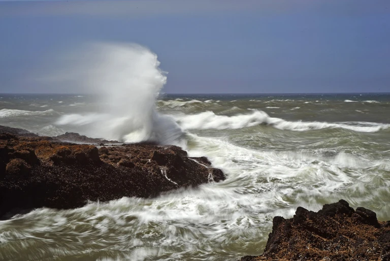 Along the coast