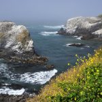 Nearby Yaquina head