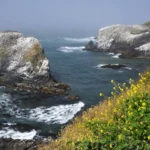 Nearby Yaquina head