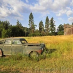 Old beauty