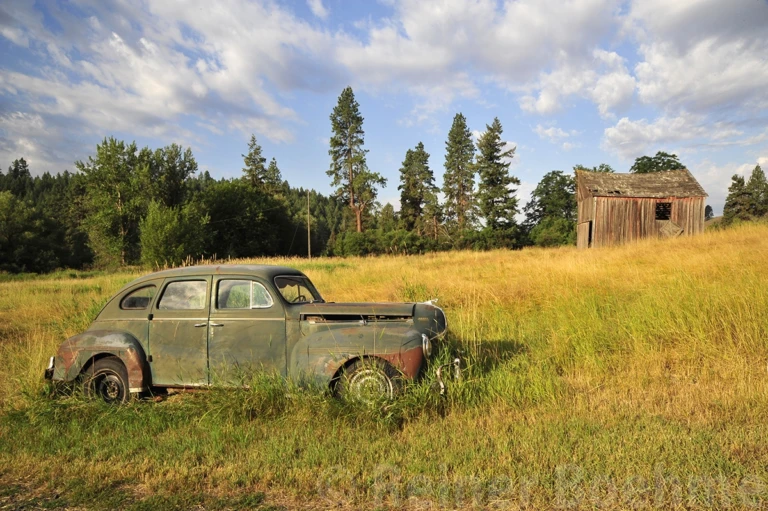 Old beauty