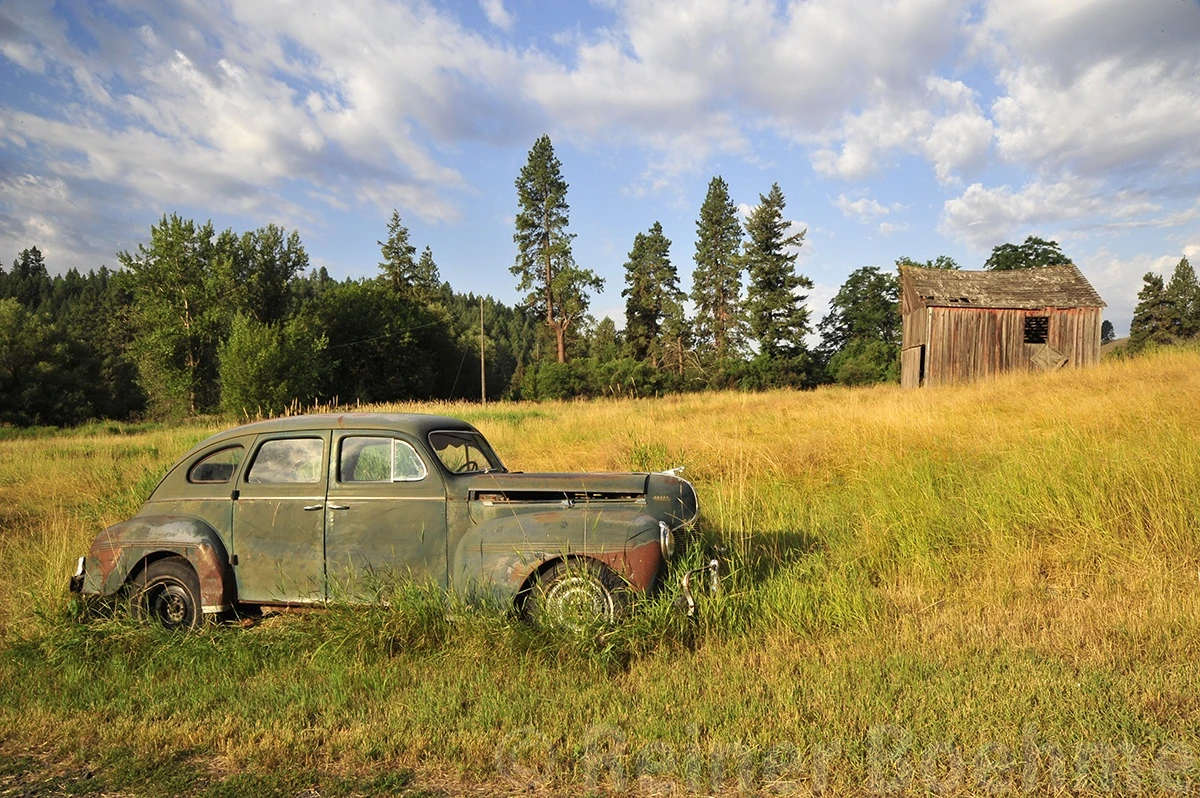 Old beauty, The Palouse – photo by Reiner Boehme