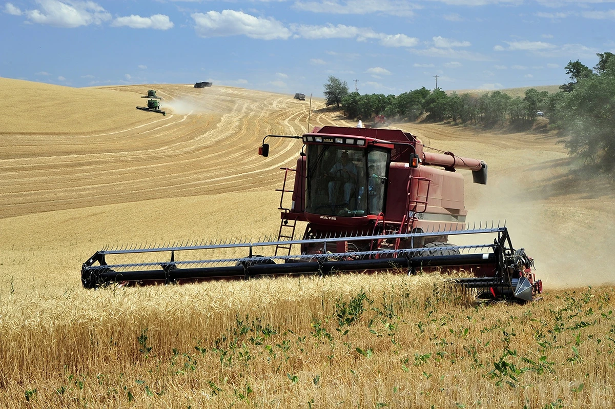Harvest time, The Palouse – photo by Reiner Boehme