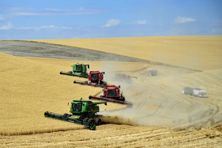 Harvest time