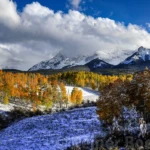 Snow in autumn