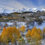Dallas divide after snowfall