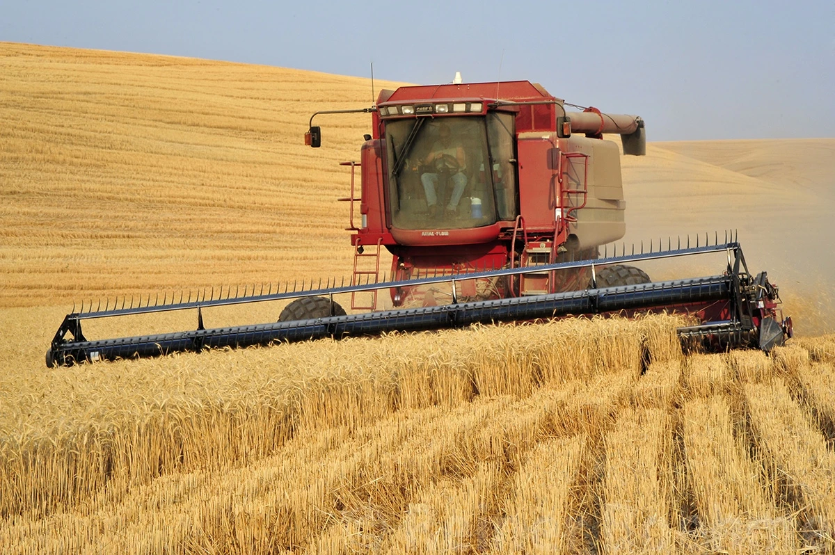 Harvest time, The Palouse – photo by Reiner Boehme