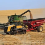 Harvest time
