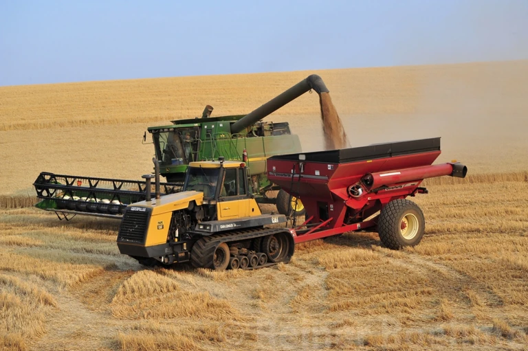 Harvest time