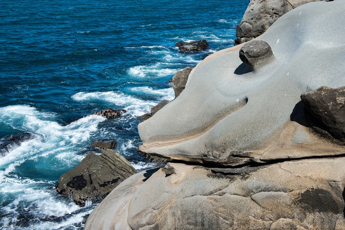 Whale, Along the coast – photo by Reiner Boehme
