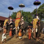 Siva temple festival, Ernakulam