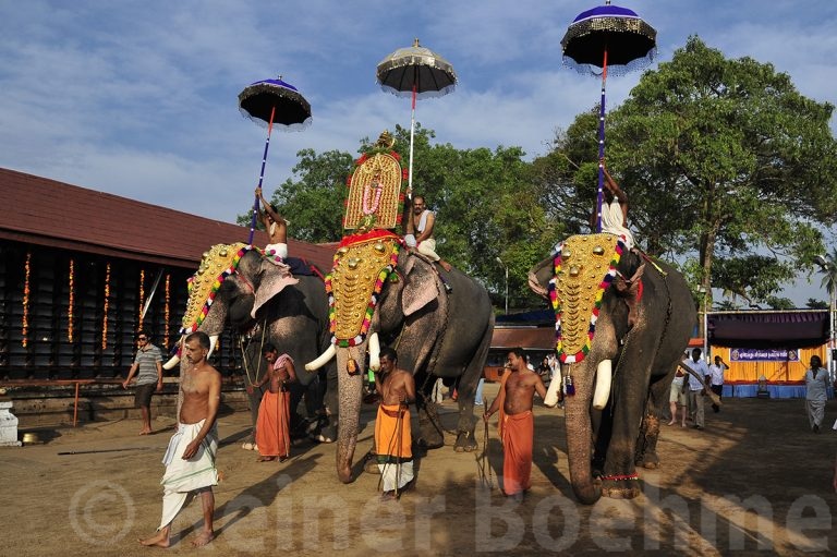 Siva temple festival, Ernakulam
