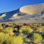 Eureka dunes