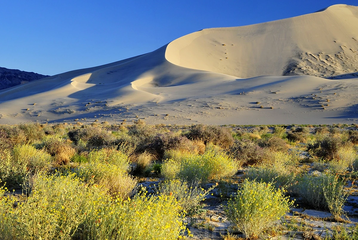 Eureka dunes, Death Valley – photo by Reiner Boehme