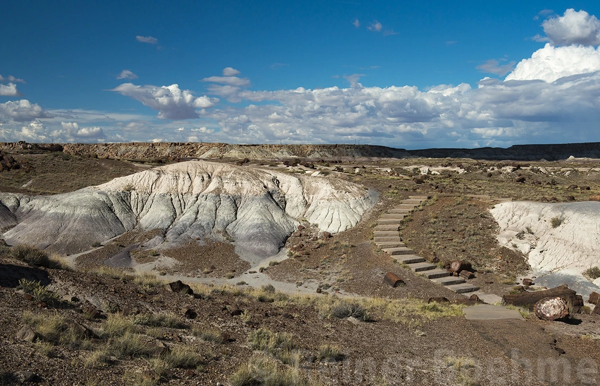 Walking through the park, Petrified Forest N.P. – photo by Reiner Boehme
