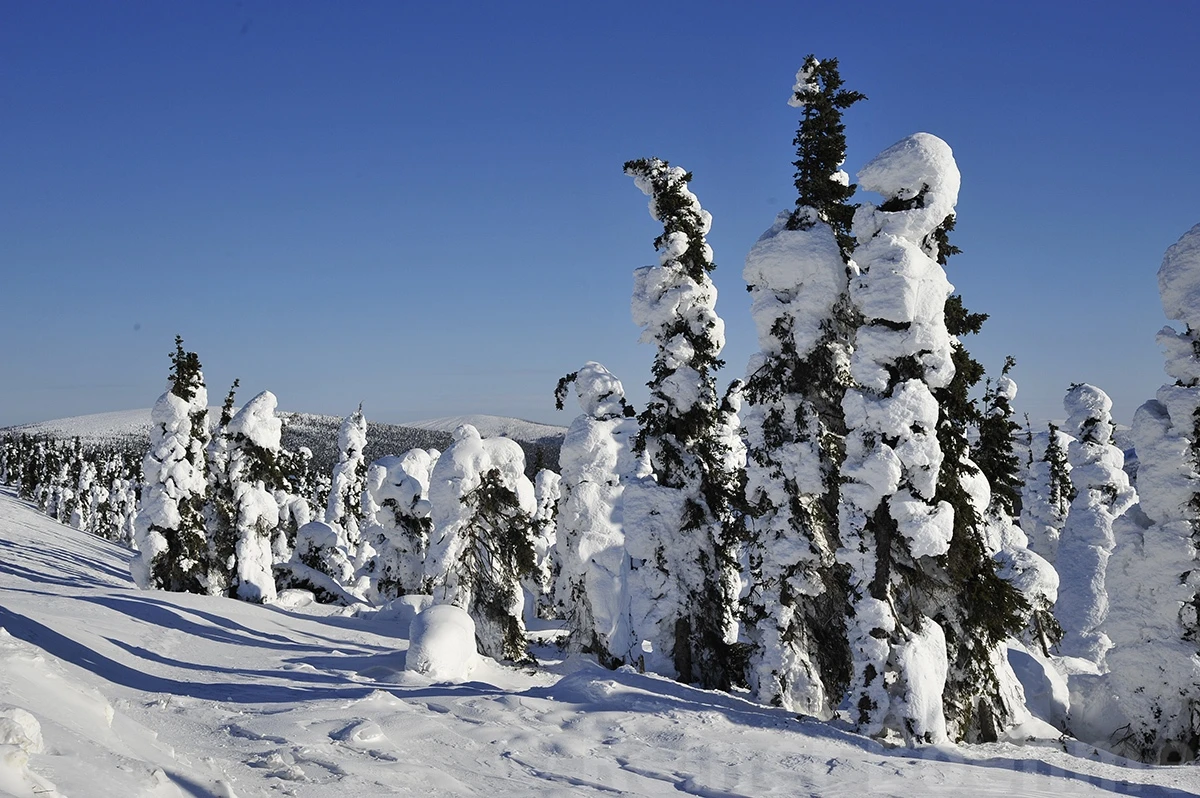 In the Brook’s mountains, Alaska – photo by Reiner Boehme