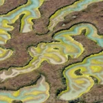 Bahia de Cadiz