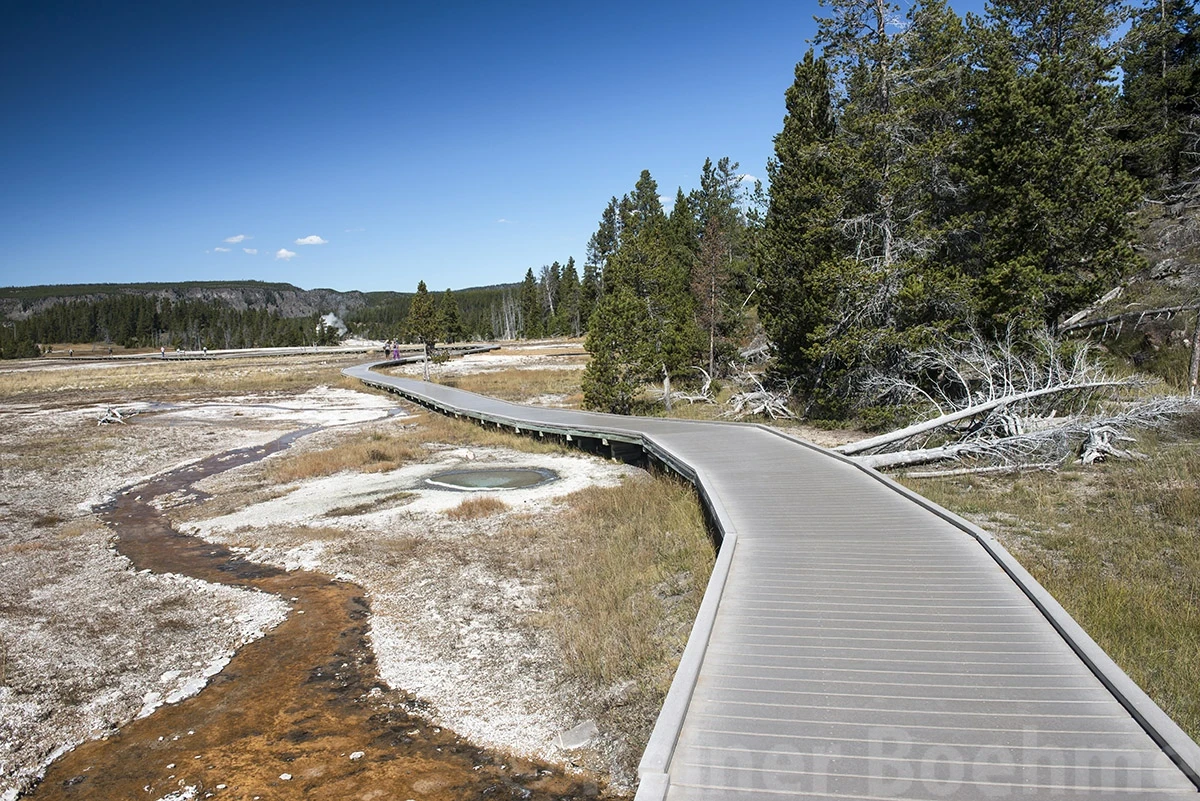 Typical walkway, Yellowstone NP – photo by Reiner Boehme