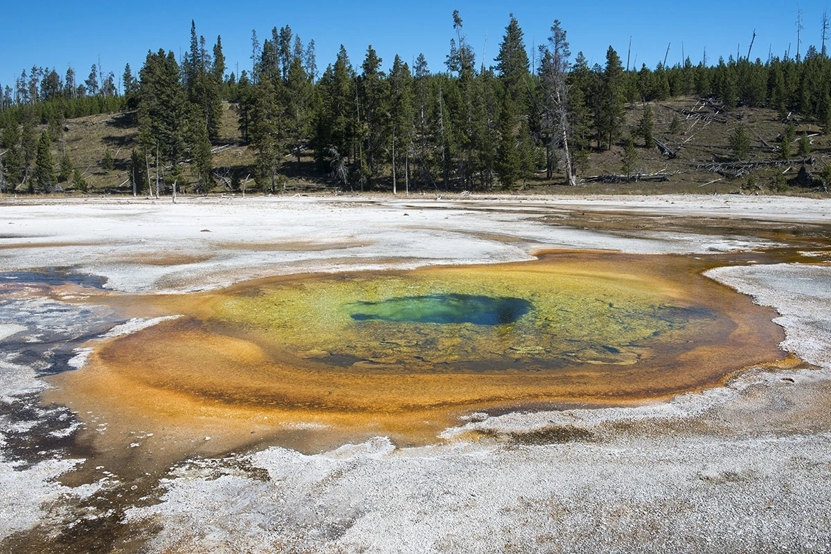 Visitor centre’s walk to geysirs, Yellowstone NP – photo by Reiner Boehme