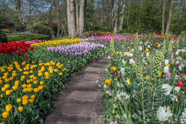 April 21st