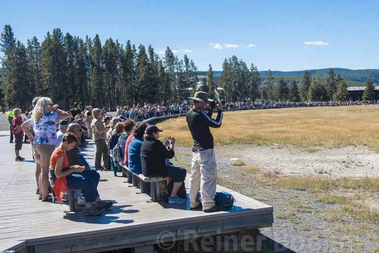 Waiting for “Good old faithful”