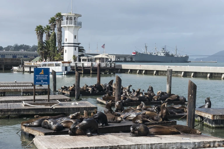 Fishermen’s wharf