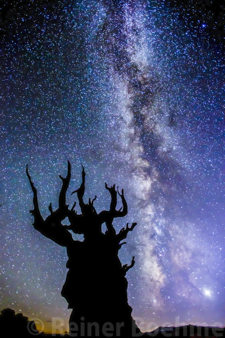 Milky way