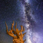 Milky way