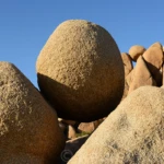 Yoshua Tree NP
