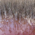 Rio Tinto