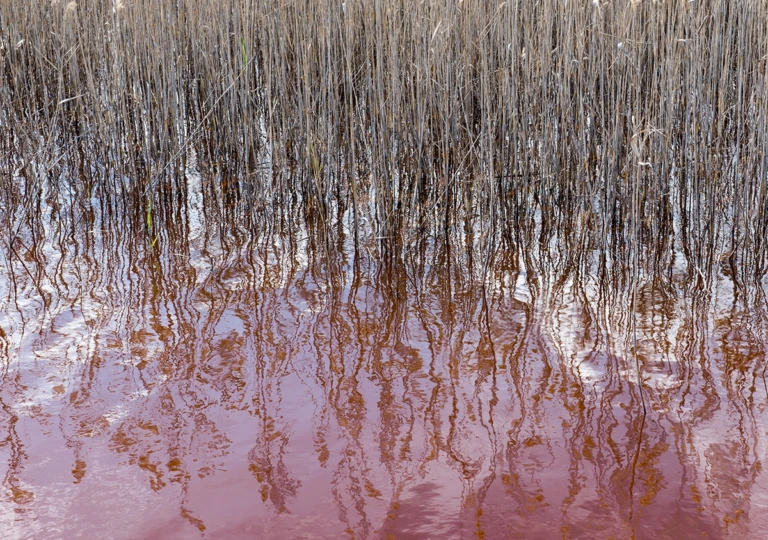 Rio Tinto