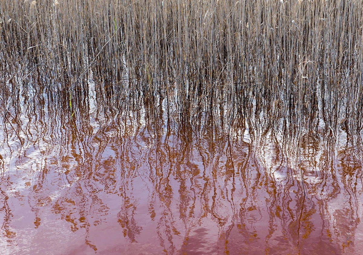 Rio Tinto – photo by Reiner Boehme