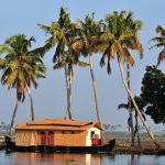 Boatstour through the backwaters