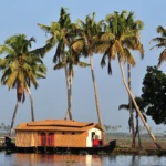 Boatstour through the backwaters