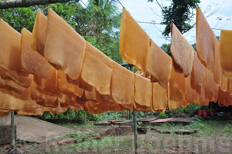 The rubber sheets are drying