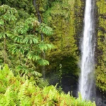Akaka falls