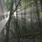 Backlit