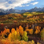 Dallas Divide
