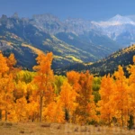 Leaving owl creek pass
