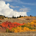 Colorado autumn colors