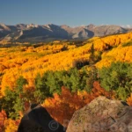 Colorado autumn colors