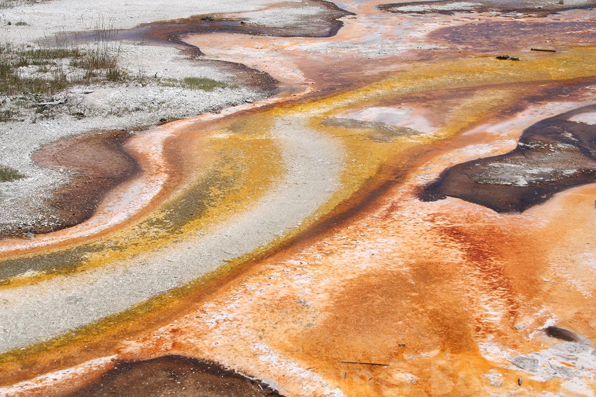 Colors, Yellowstone NP – photo by Reiner Boehme