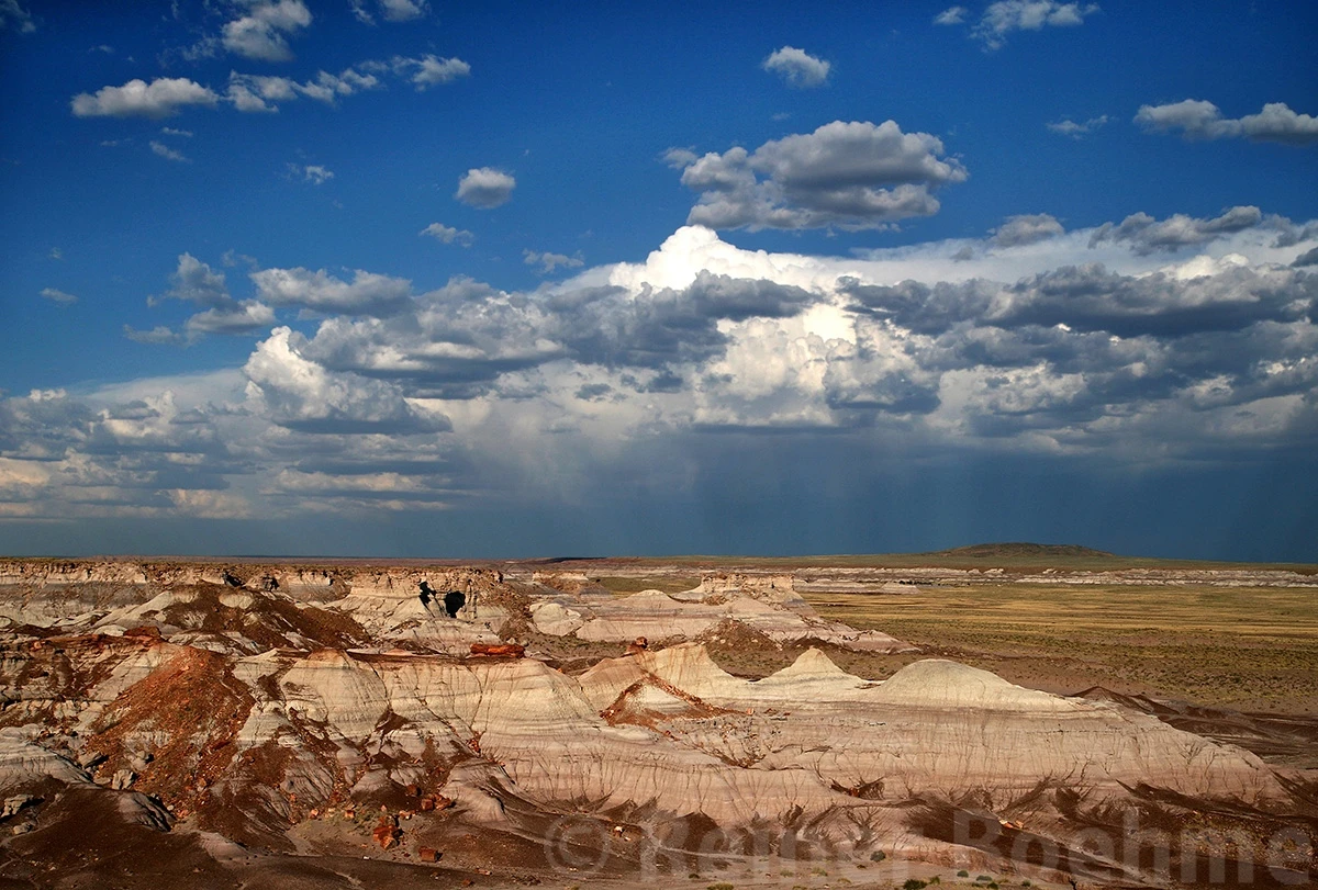 Leaving I40 for the park, Petrified Forest N.P. – photo by Reiner Boehme