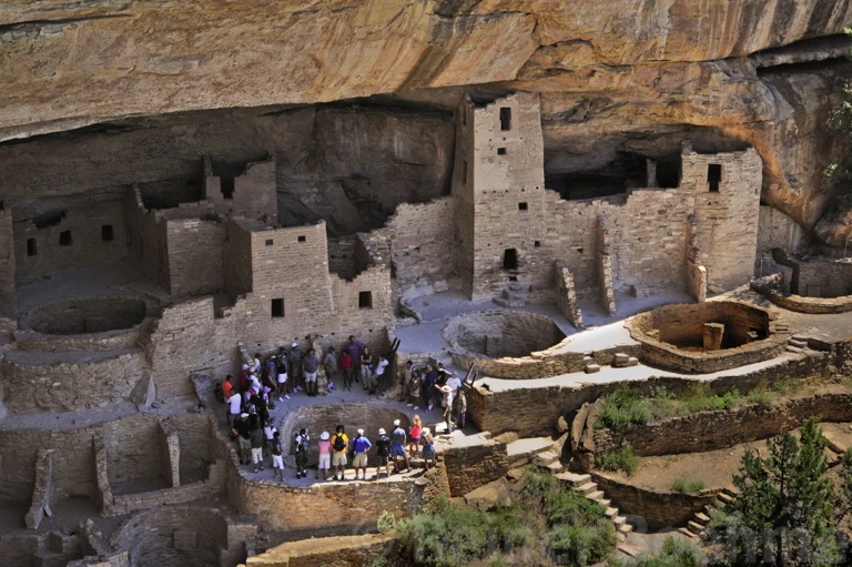 Guided tours