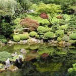 Japanese garden