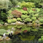 Japanese garden