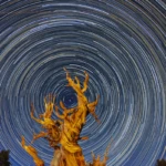 Startrails for 4 hours