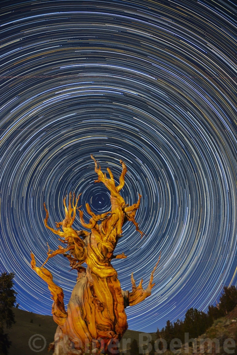 Startrails for 4 hours