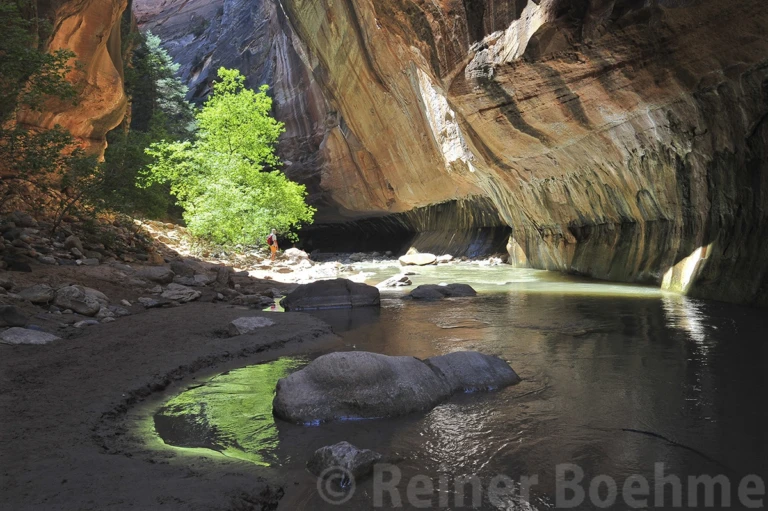 iN THE NARROWS